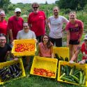 Eight people stand and display vegetables they picked, collected in large yellow bins.