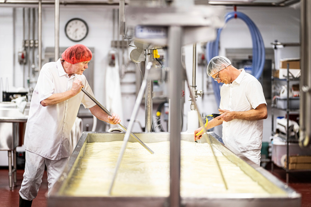 In a dairy manufacturing facility, two men stand on either side of a stainless steel trough filled with curds and whey. One uses a long pole to stir the curds while another uses an instant-read thermometer to monitor the temperature.