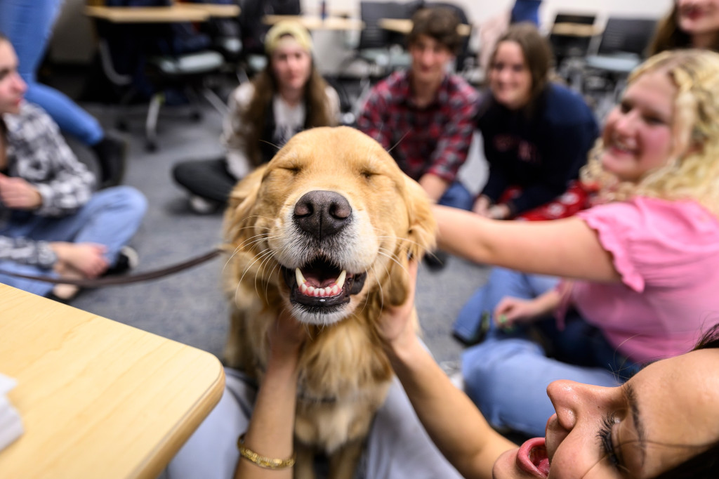 A golden retriever, with eyes closed and a smile on his face, sits in the middle of a circle of students who are reach out to pet him.