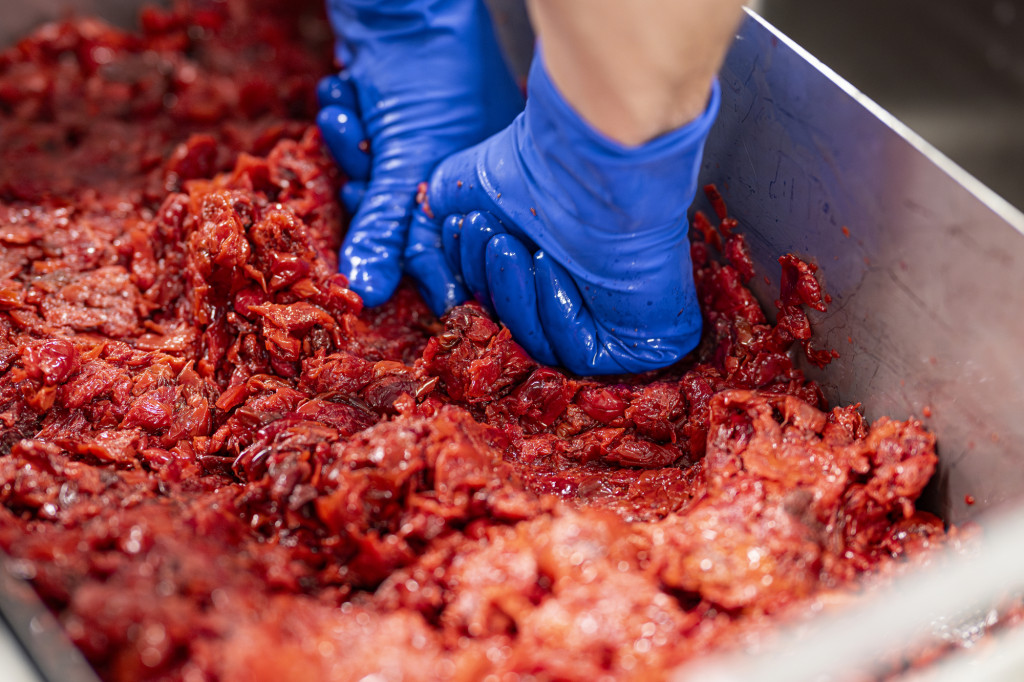 A pair of hands works over a vat of cherries and cranberries.