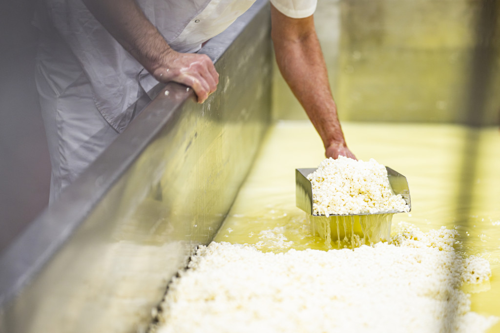 A man scoops curds from a white-ish liquid.