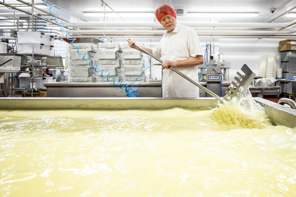 Cheesemaker Joey Jaeggi mixes the cultured pasteurized milk and enzymes as the cheese-making process starts.