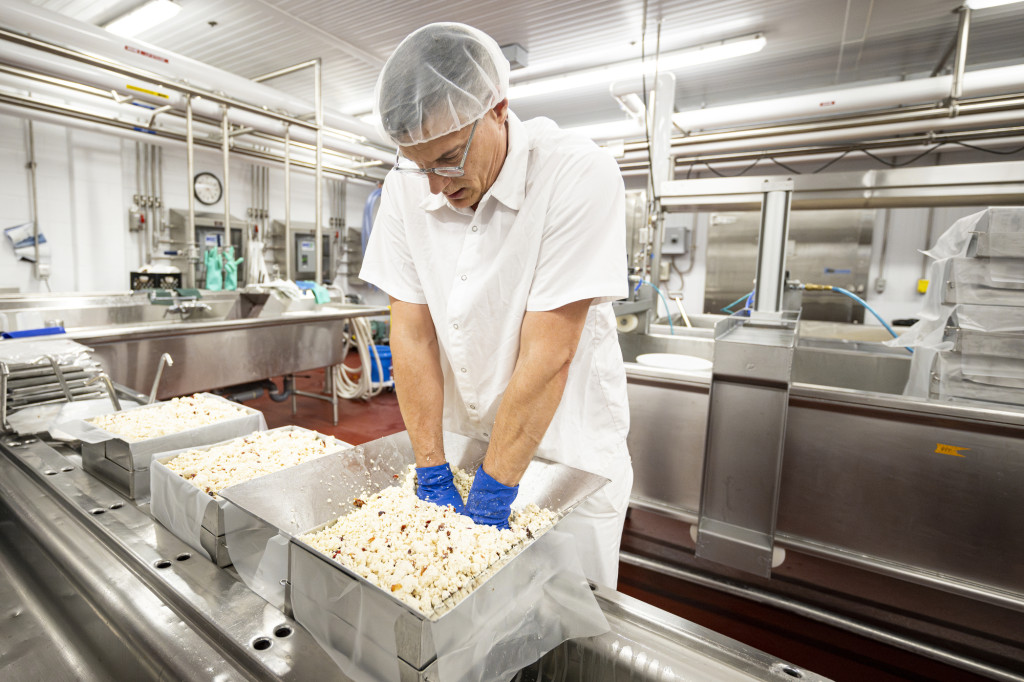 A man presses cheese curds into a form.