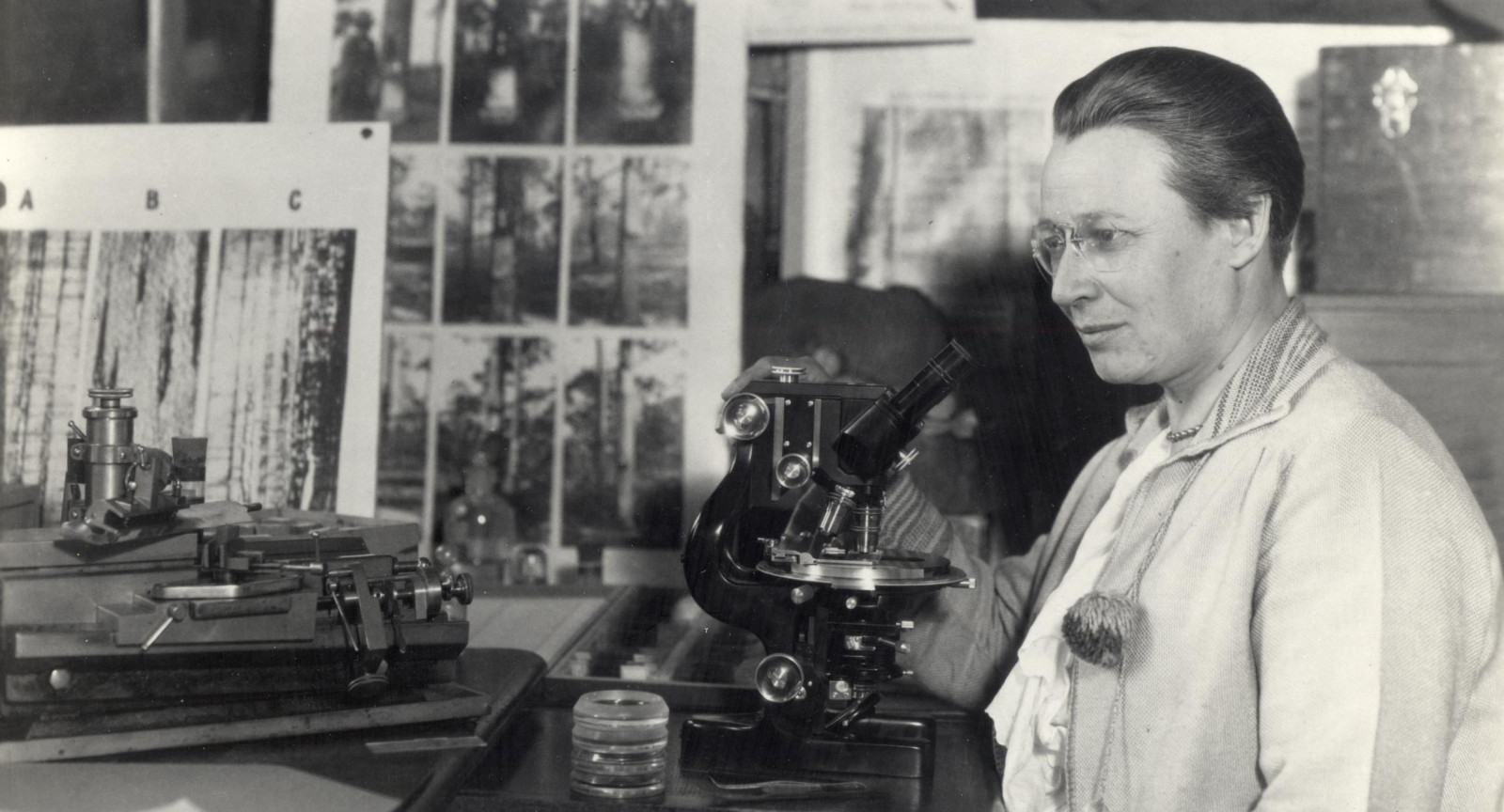 Surprising Contributions From Uw–madison’s Overlooked Scientists