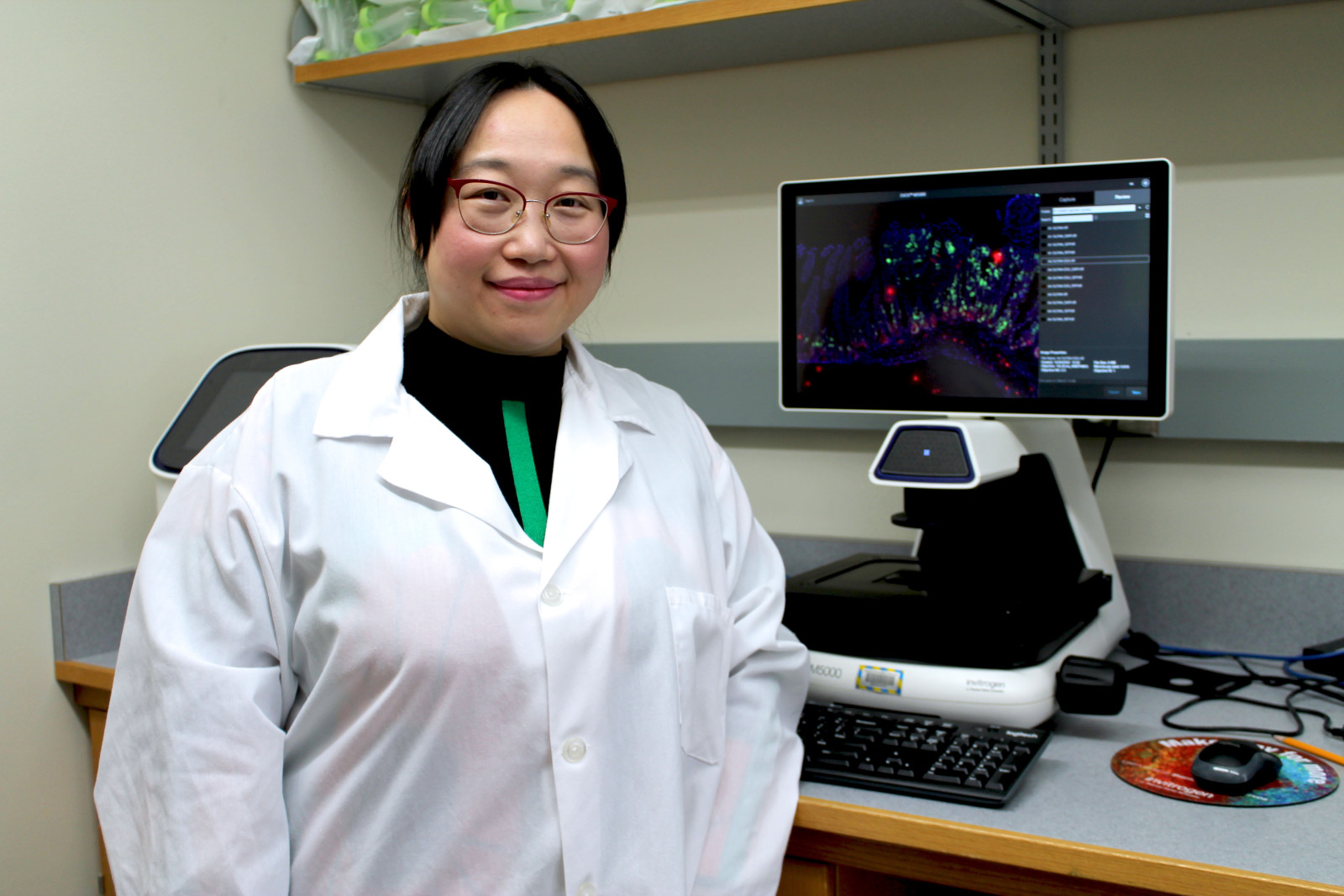 Study identifies promising target for treating inflammatory bowel ...
