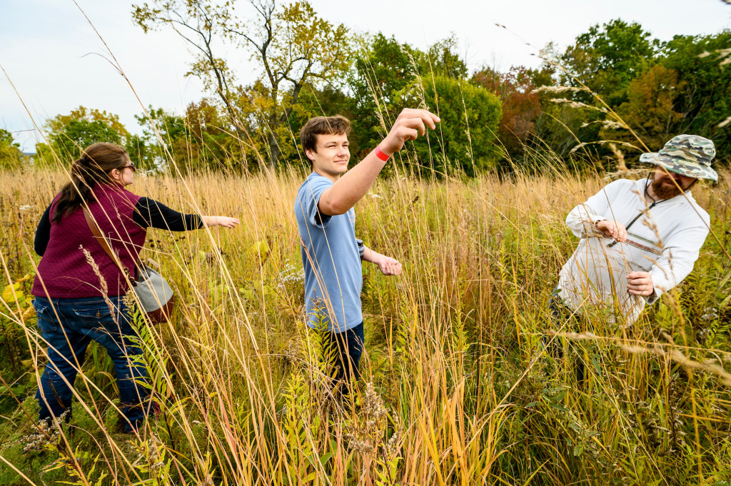 Three people collect grass seeds in a tall prairie.