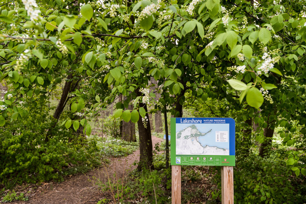 A sign with a map of the Lakeshore Nature Preserve stands at a trailhead leading into green woods.