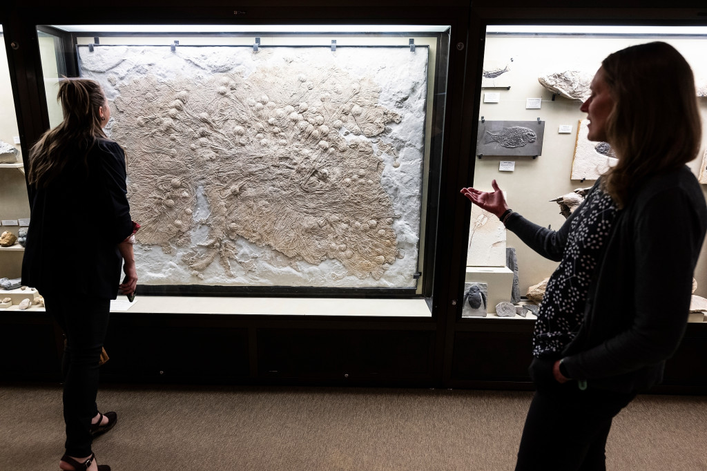 Two women stand in front of a glass display case containing a large fossil.