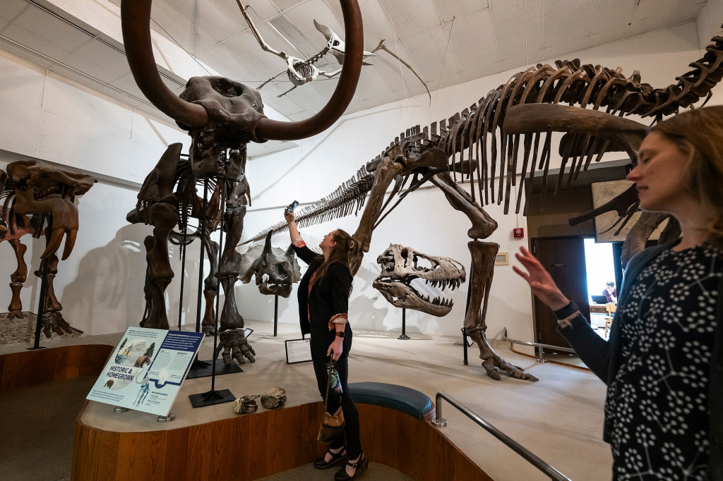 A woman holds up a smartphone and takes a photo of a large mastodon skeleton.