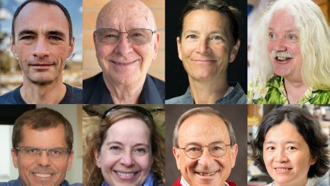 Headshot photos arranged in two rows of four show this year's six AAAS Fellows from UW–Madison.