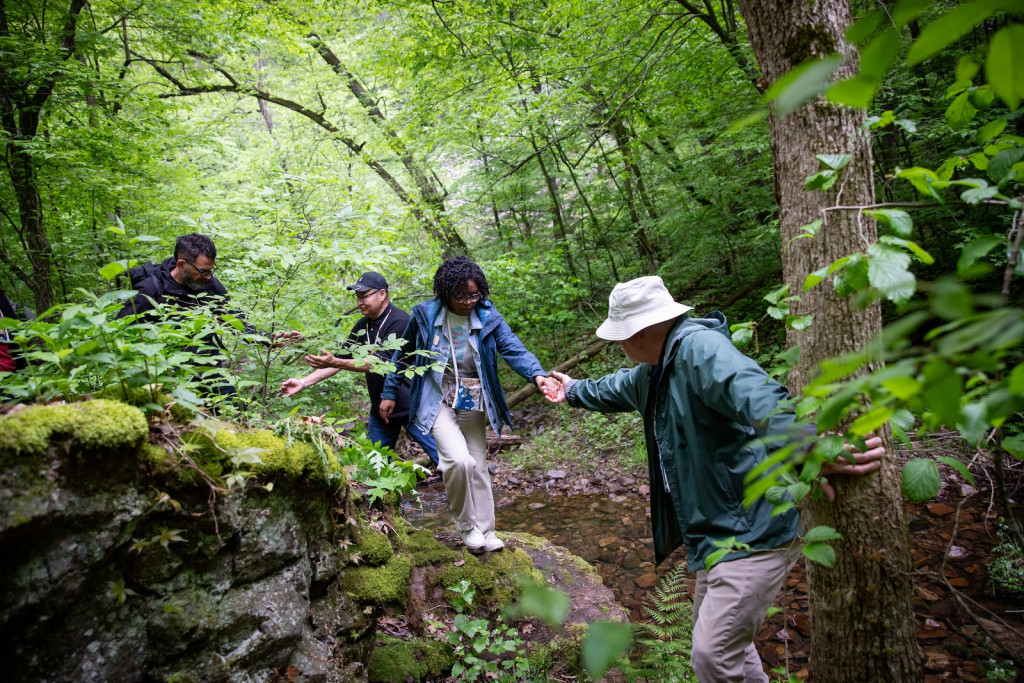 A group of people walk through a woods; one reaches out a hand to another.