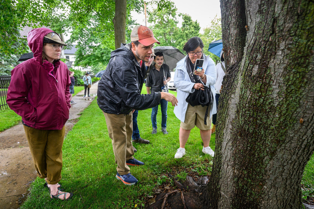 Standing on a residential sidewalk in the rain, a group of people in rain gear look on as a man in the group leans forward to point toward a tree trunk hosting cicadas.