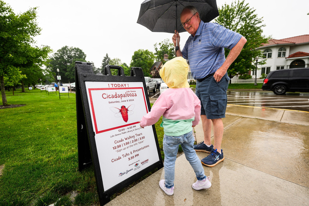 Standing in the rain near a grassy lawn, a man with an umbrella and young girl in a raincoat read a folding sign about an event called Cicadapalooza.