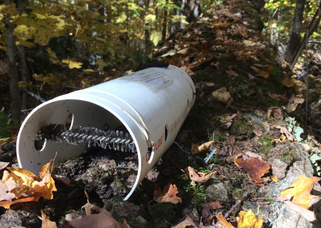 A round white PVC pipe sits on a forest floor.