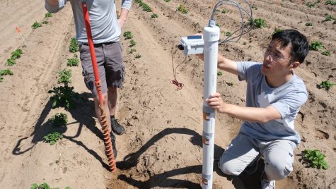 Soil science PhD student Shuohao Cai places a sensing rod, which has multifunctional sensing stickers positioned to enable multi-depth measurements, in soil at UW-Madison’s Hancock Agricultural Research Station to test the team's technology.