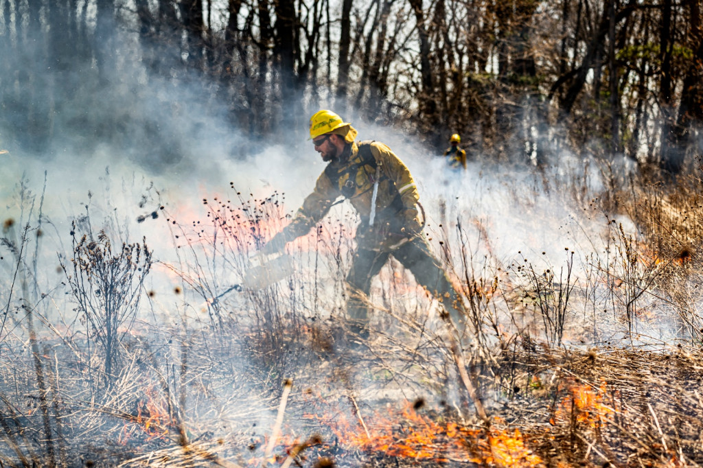 A man walks through a field of dry wildflowers and grasses that are burning, and he holds a torch device to light them.