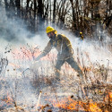Adam Gundlach, fields project coordinator with the Lakeshore Nature Preserve, uses a torch to set dried out brush on fire during a prescribed burn held in Biocore Prairie near the entrance to Picnic Point at the University of Wisconsin-Madison on March 28, 2024. (Photo by Bryce Richter / UW–Madison)