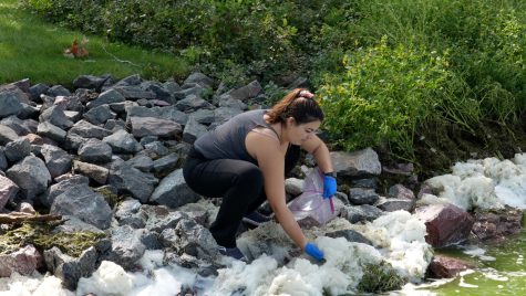 A woman crouches at the edge of a lake, collecting foam that's gathered there.