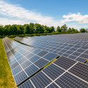 A number of solar panels in a field are pictured.