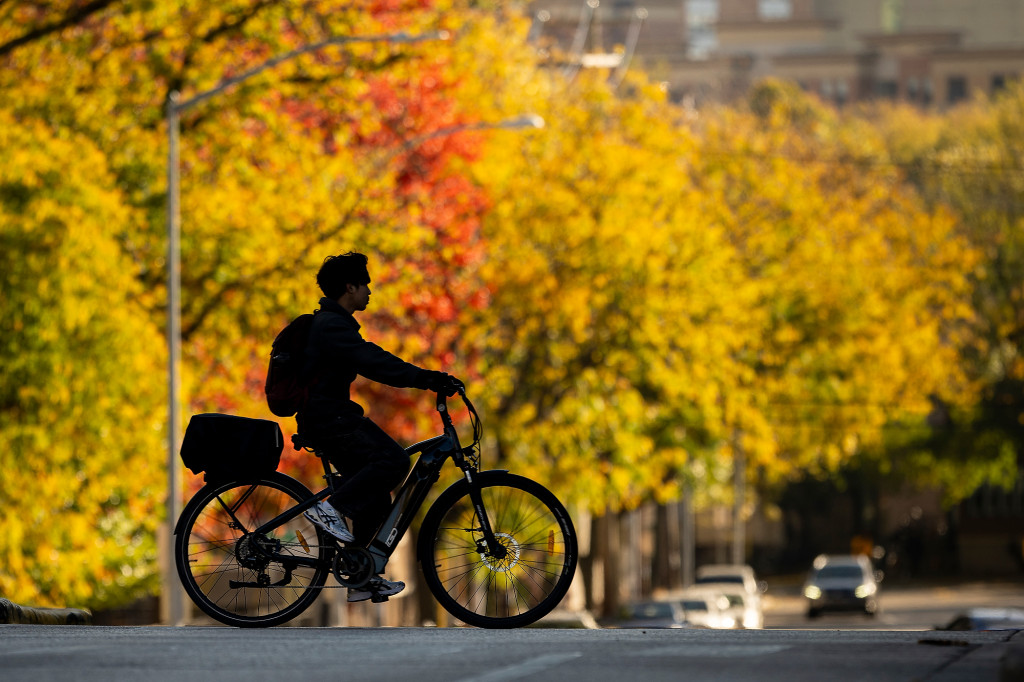 A bicyclists silhoutte is framed by colorful autumn leaves.