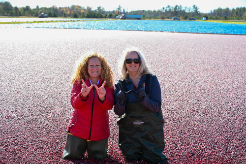 Two women stand in a cranberry marsh, surrounded by red berries floating in the marsh.