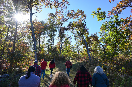 A group of people walk through the woods.