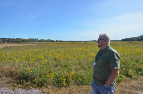 A man looks over an empty field with long grasses growing on it.