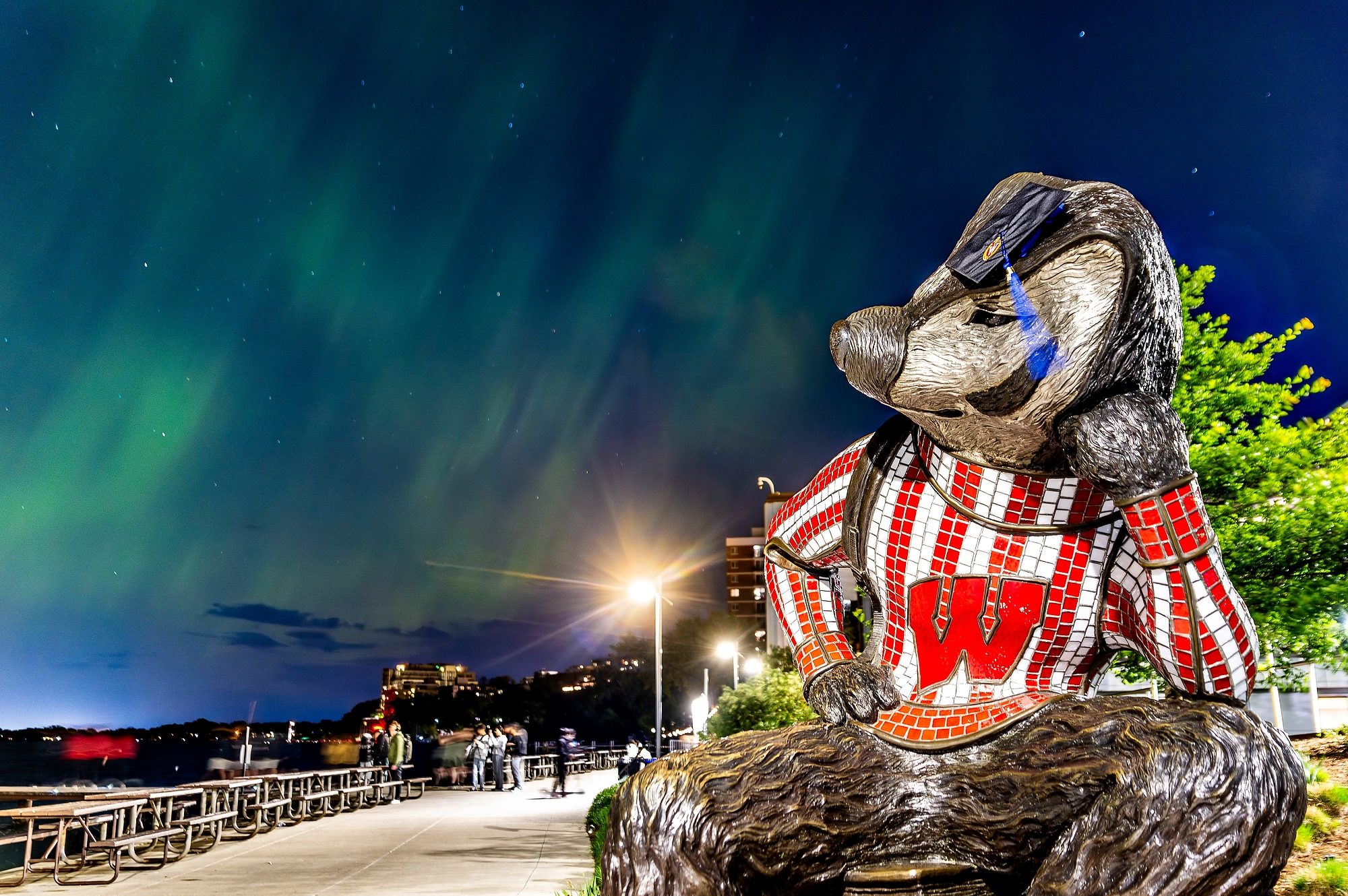Statue of Bucky Badger wearing a red and white sweater with a University of Wisconsin logo, set against a starry night sky with northern lights.