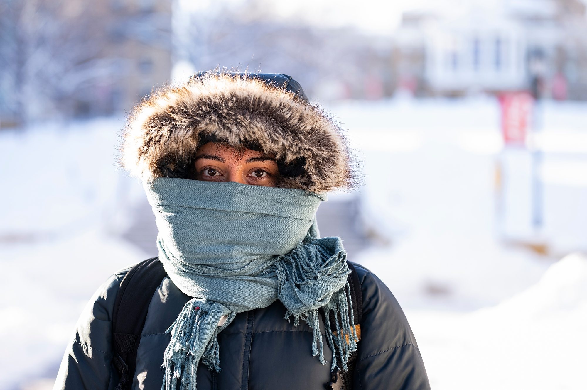 Person wearing a winter jacket with a fur-lined hood and a scarf covering their mouth, standing outdoors on a snowy day.
