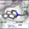 An illustration of a molecule.