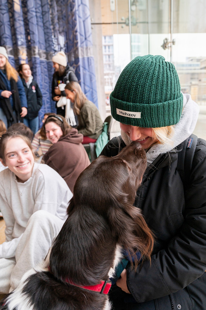 A dog is petted by a person.