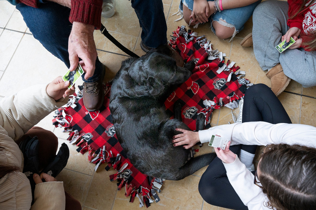 A dog lays on a red blanket as several hands reach in to pet her.