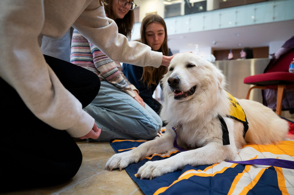 A dog seems to smile as it is petted by students.