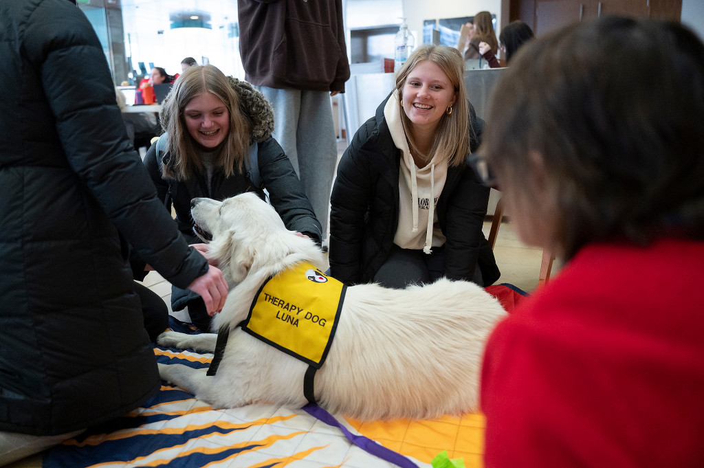 Several students crowd around a white dog wearing a 