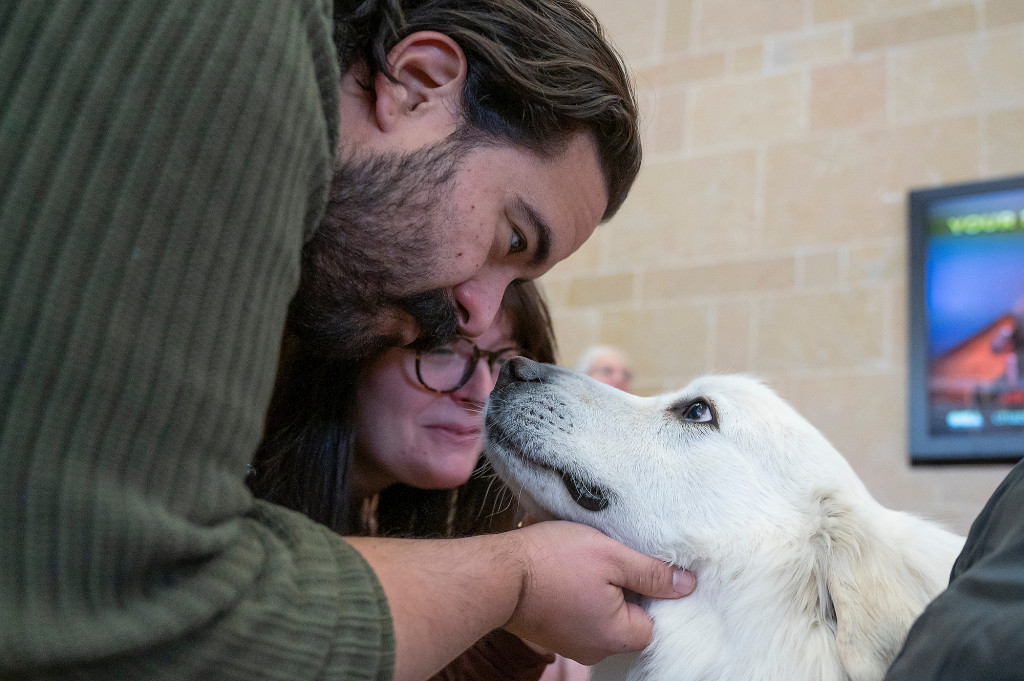 Two people come face to face with a white dog.