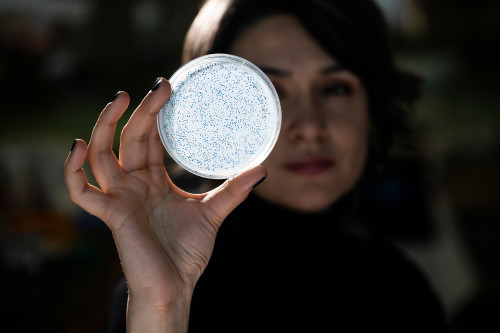 A woman holds a petri dish filled with colorful dots with a white background.