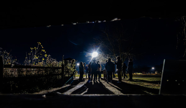 Some people gather at night under a street light.