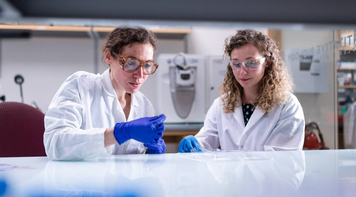 Two scientists work in a lab