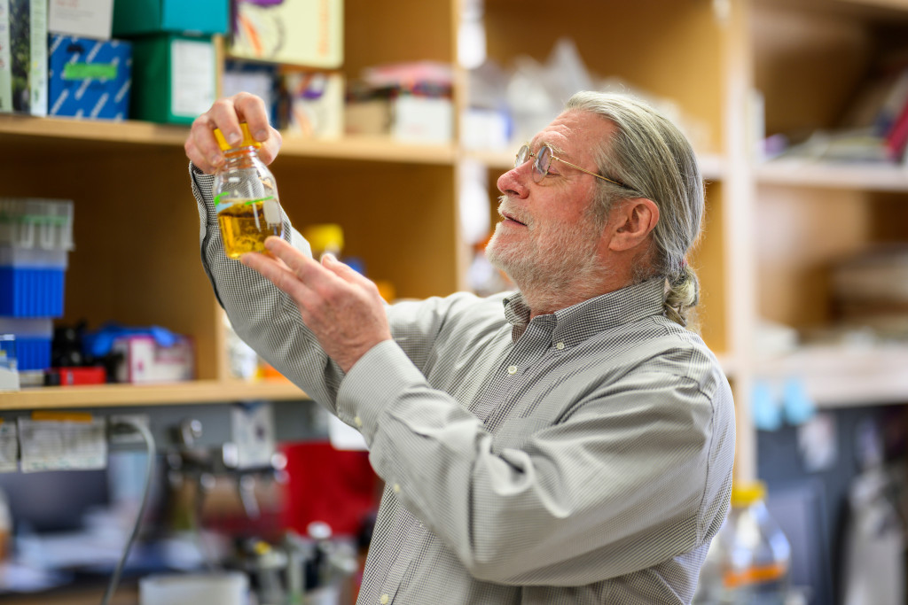 Brian Fox inspects a liquid specimen in a glass container.