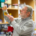 Brian Fox inspects a liquid specimen in a glass container.