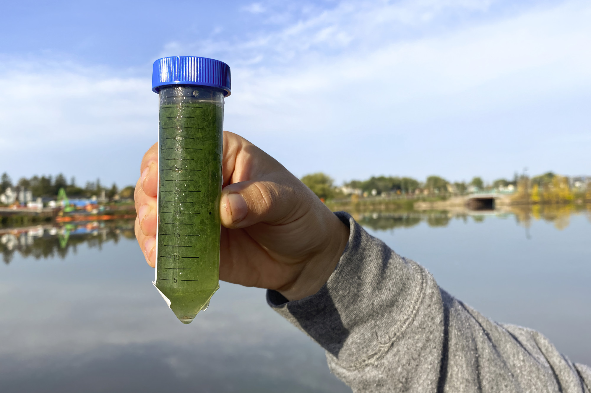 A hand holds up a large vial of green algae collected from one of Wisconsin's waterways.
