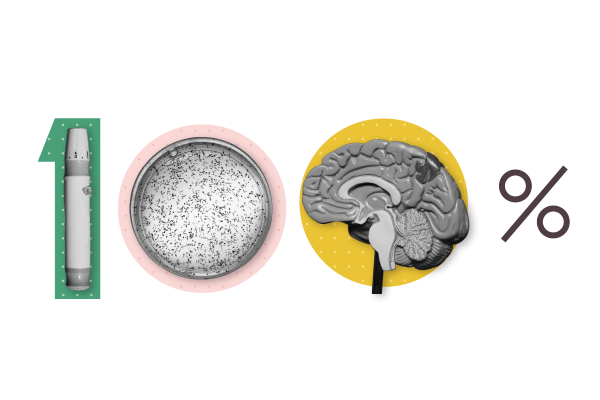 Photo illustration of "100%" where the number 1 is a diabetes shot, the first 0 shows a petri dish, and the second 0 shows a model of a brain.