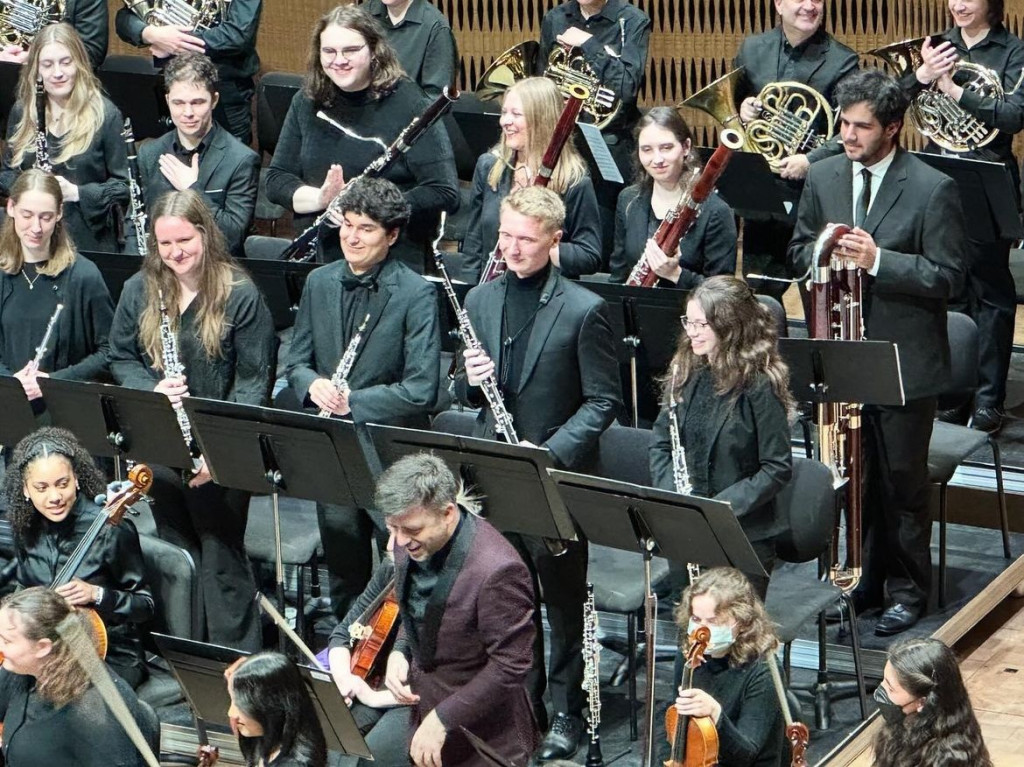 A group of people play in an orchestra.