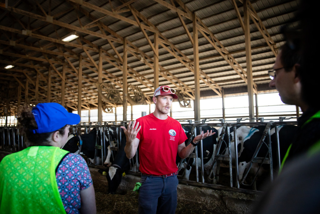 A man speaks in a barn with several cows in the background.