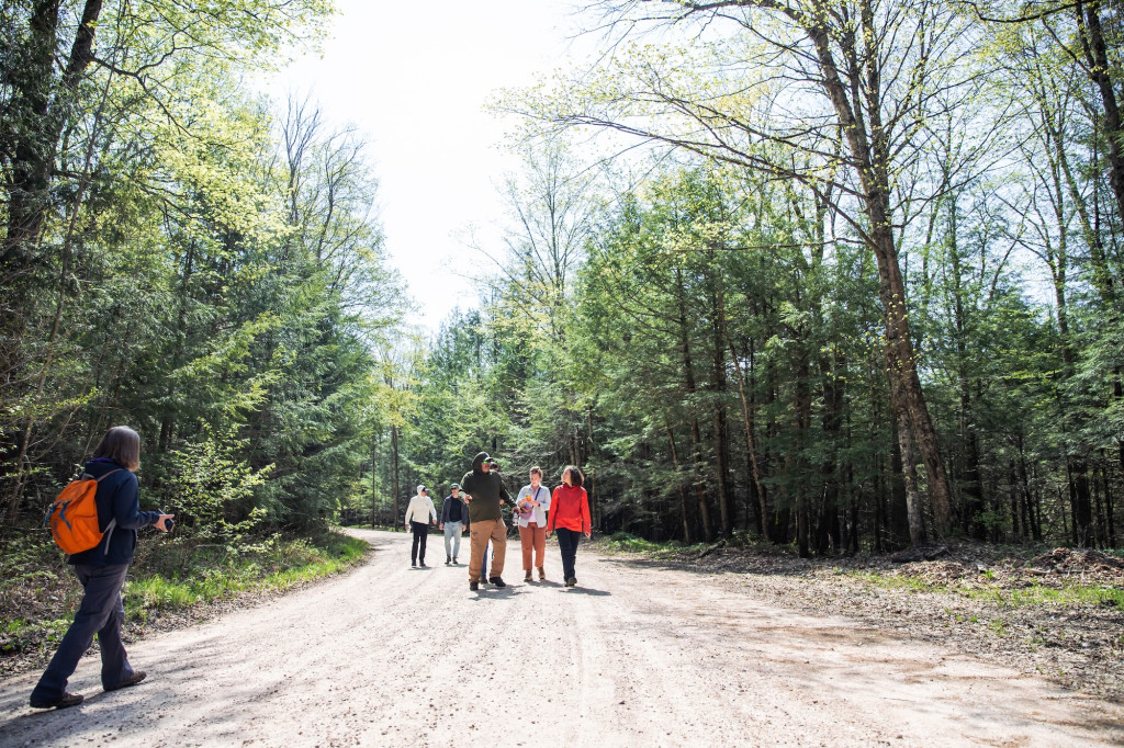 Several people walk along a road in the woods.