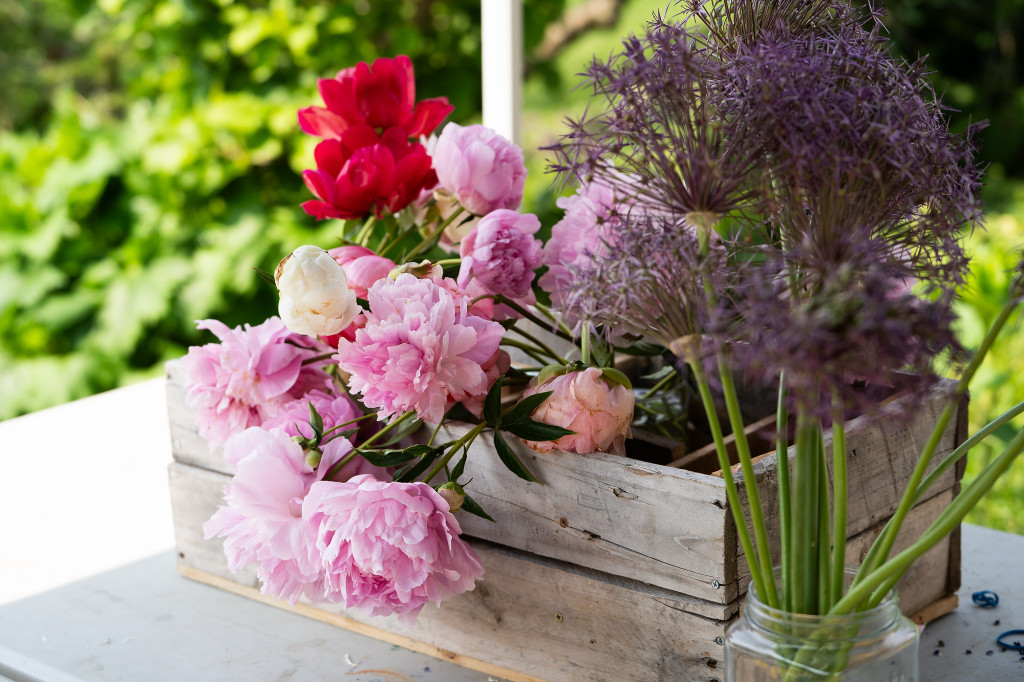 Some flowers on a table are shown.