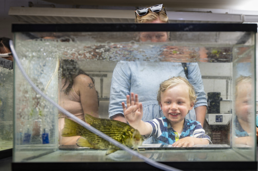 A young boy puts his hand against some glass.