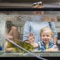 A young boy puts his hand against some glass.