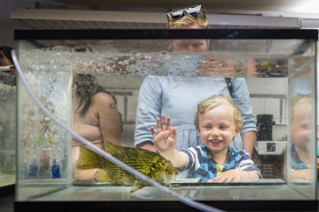 A young boy puts his hand against some glass.
