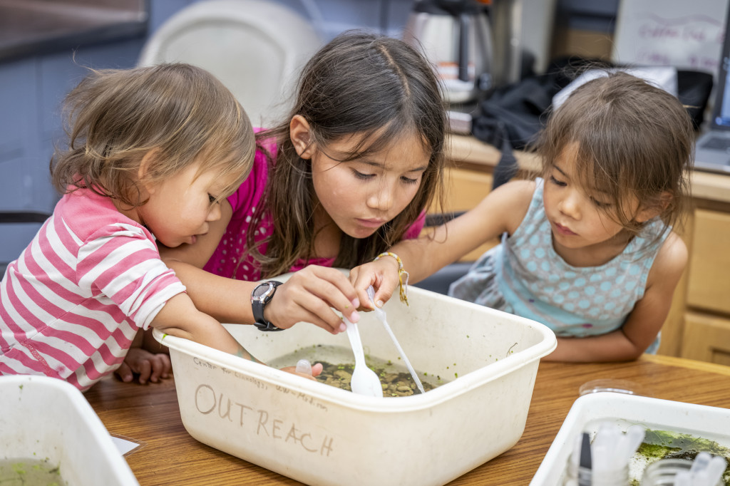 Three young children peer into a tub full of lake water, and explore it with spoons.
